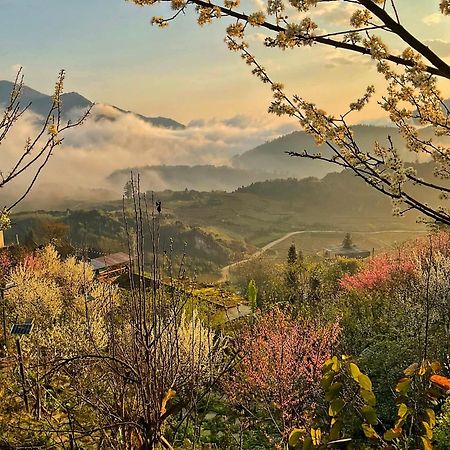 Ta Phin Cottage Sapa Exterior foto