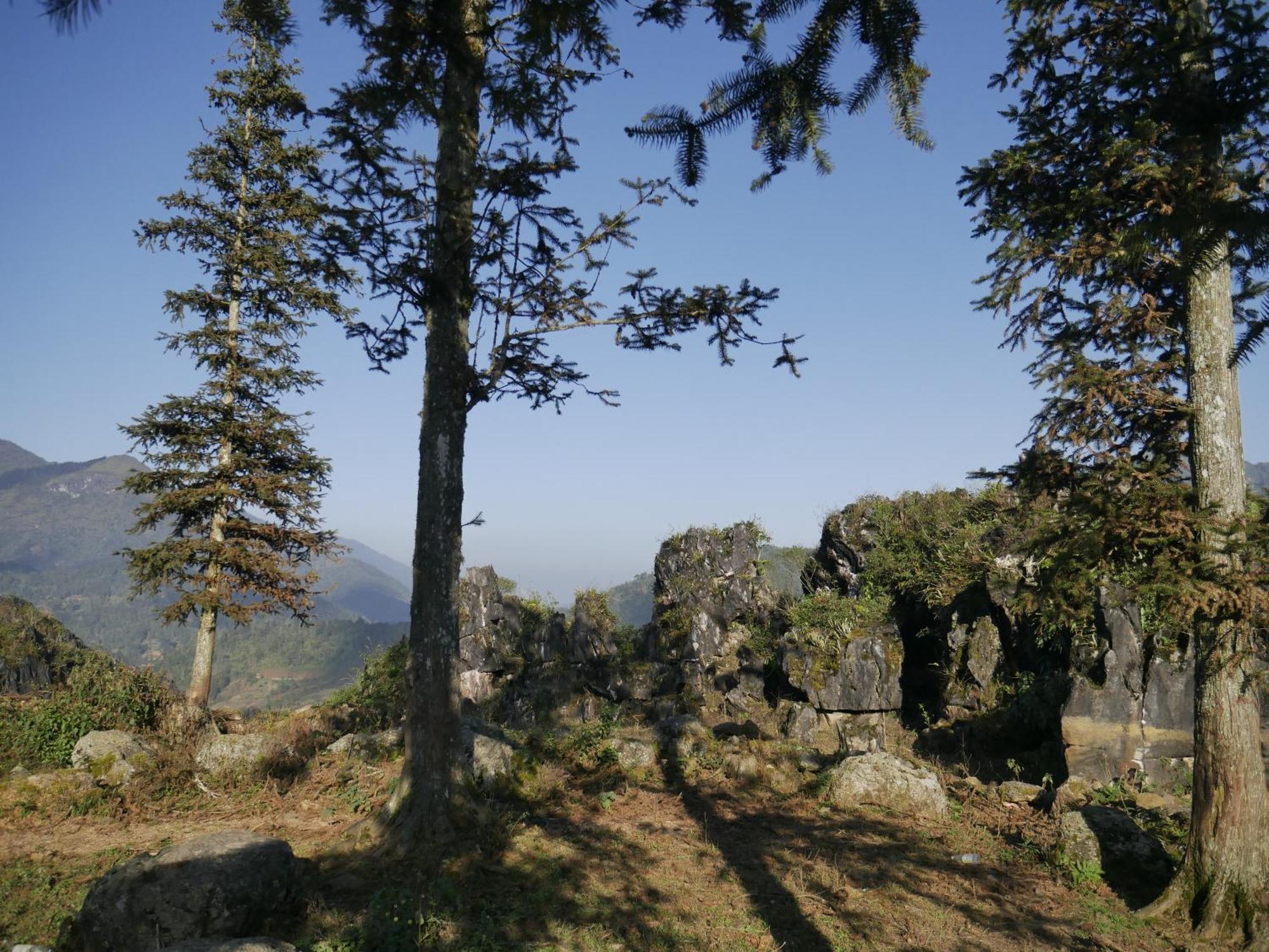 Ta Phin Cottage Sapa Exterior foto