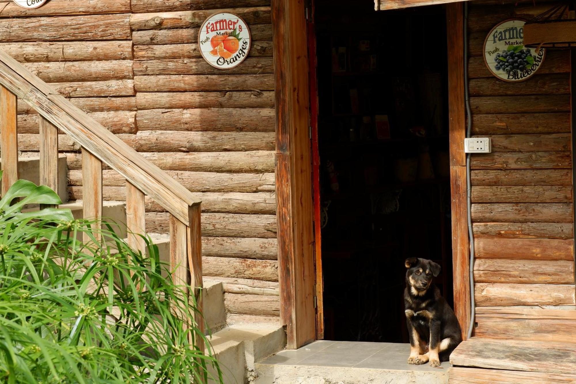 Ta Phin Cottage Sapa Exterior foto